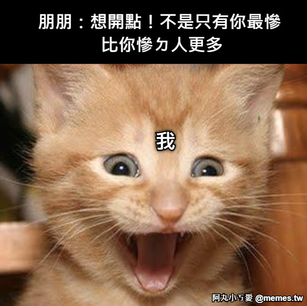 朋朋：想開點！不是只有你最慘 比你慘ㄉ人更多 我