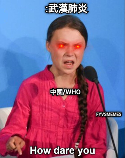 :武漢肺炎 中國/WHO FYVSMEMES