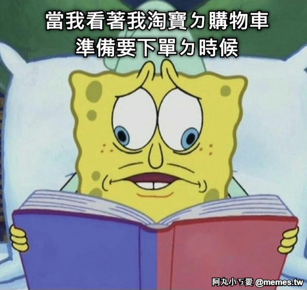 當我看著我淘寶ㄉ購物車 準備要下單ㄉ時候