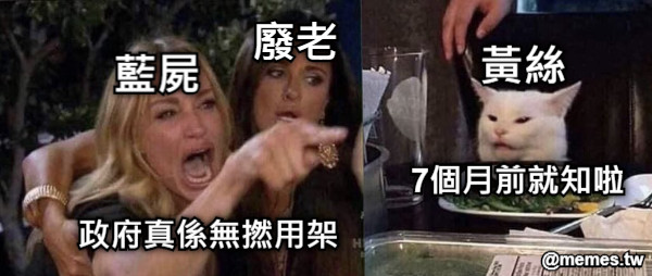 藍屍 廢老 政府真係無撚用架 7個月前就知啦 黃絲