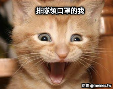 排隊領口罩的我