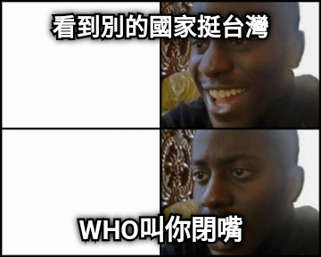 看到別的國家挺台灣 WHO叫你閉嘴