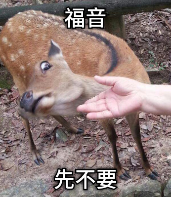 福音 先不要