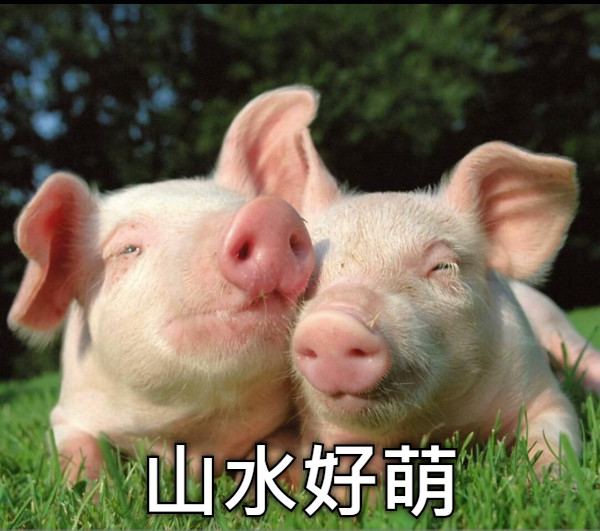 山水好萌