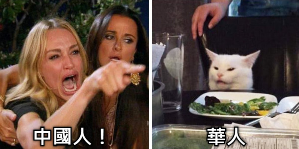 中國人！                 華人