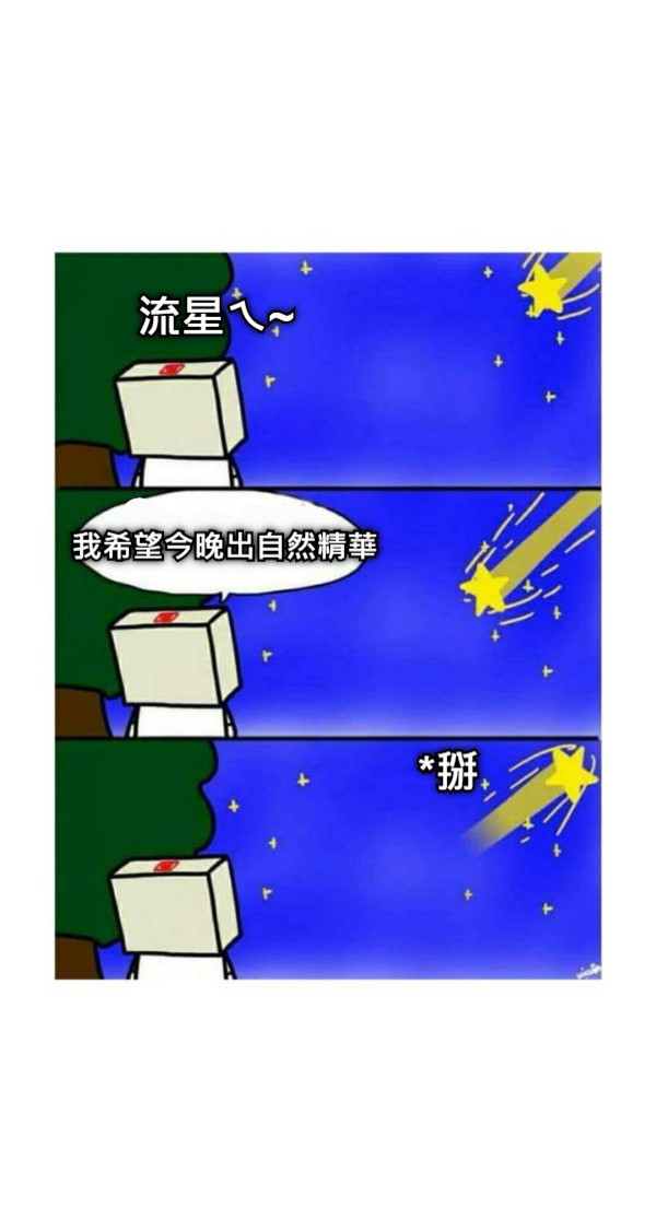 流星ㄟ~ 我希望今晚出自然精華 *掰