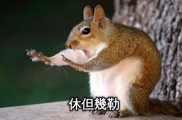 休但幾勒