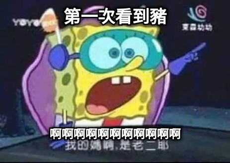 第一次看到豬 啊啊啊啊啊啊啊啊啊啊啊