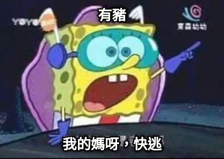 有豬 我的媽呀，快逃