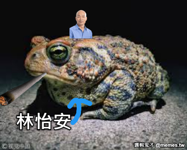 林怡安