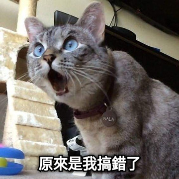 原來是我搞錯了