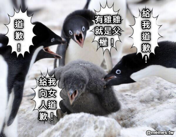 道歉! 給我道歉！ 有雞雞就是父權！ 給我向女人道歉！
