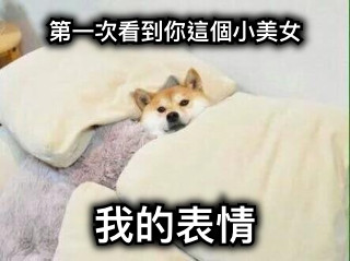 第一次看到你這個小美女 我的表情