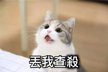 丟我查殺