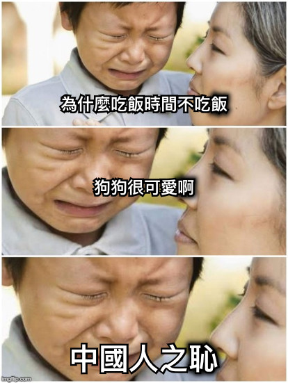 為什麼吃飯時間不吃飯    狗狗很可愛啊 中國人之恥