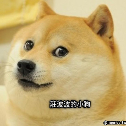 莊波波的小狗