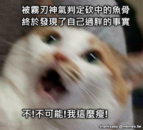 被霧刃神氣判定砍中的魚骨 終於發現了自己過胖的事實 不!不可能!我這麼瘦!