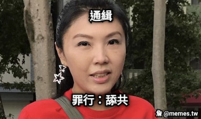 通緝 罪行：舔共