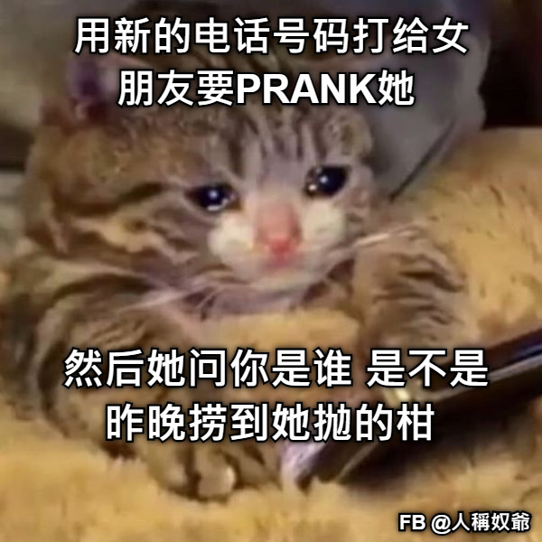 用新的电话号码打给女朋友要PRANK她  然后她问你是谁 是不是昨晚捞到她抛的柑  FB @人稱奴爺