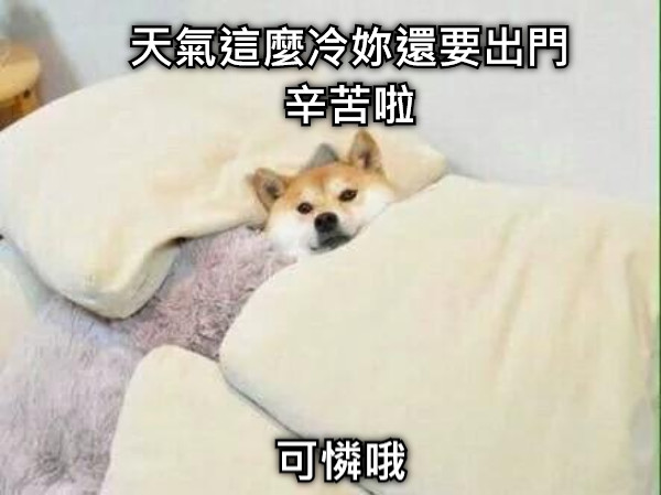 天氣這麼冷妳還要出門 辛苦啦 可憐哦