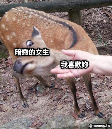 暗戀的女生 我喜歡妳
