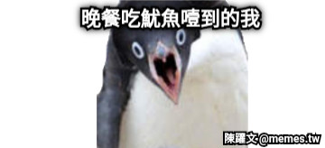 晚餐吃魷魚噎到的我
