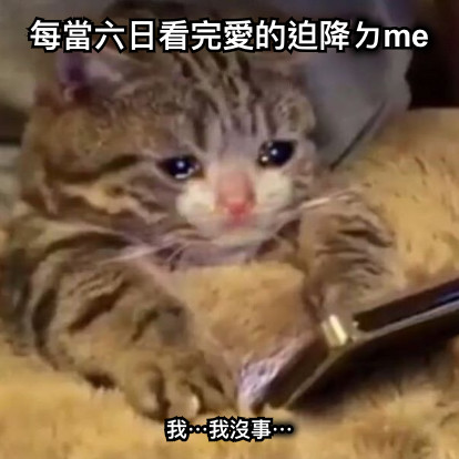 每當六日看完愛的迫降ㄉme 我⋯我沒事⋯