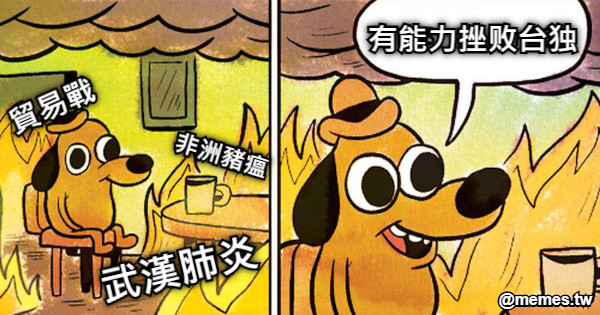 有能力挫败台独 非洲豬瘟 貿易戰 武漢肺炎