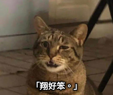 「翔好笨。」