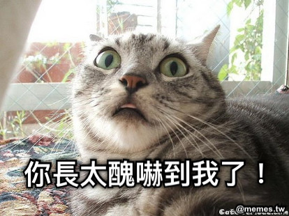 你長太醜嚇到我了！