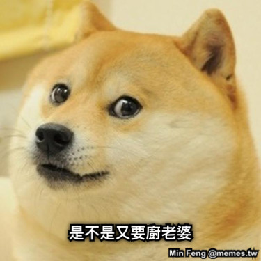 是不是又要廚老婆