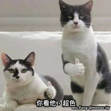 你看他，超色