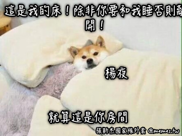 這是我的床！除非你要和我睡否則離開！ 就算這是你房間 楊夜
