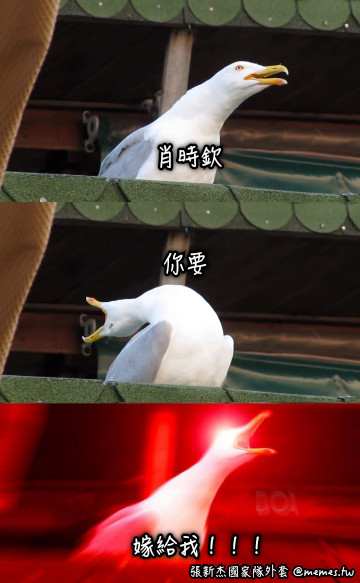 肖時欽 你要 嫁給我！！！