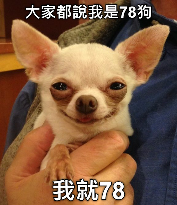 大家都說我是78狗 我就78