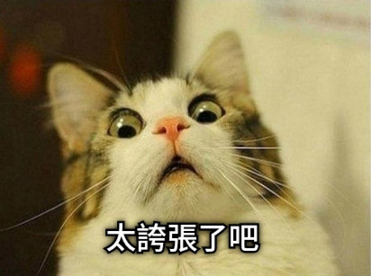 太誇張了吧 太誇張了吧