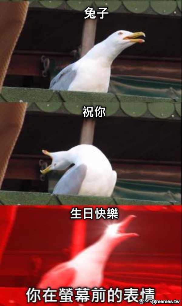 兔子 祝你 生日快樂