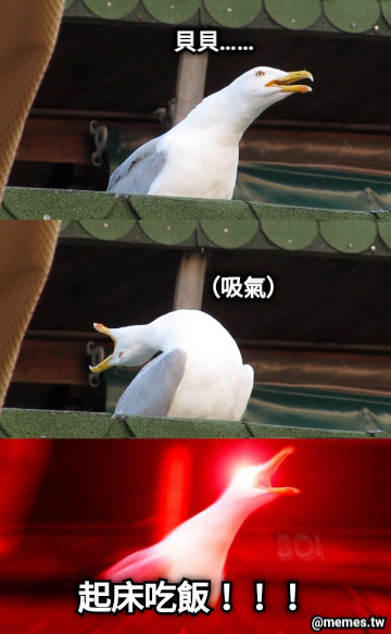貝貝…… （吸氣） 起床吃飯！！！