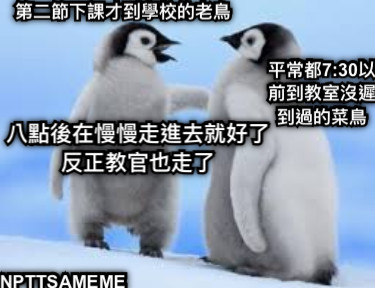 八點後在慢慢走進去就好了 反正教官也走了 平常都7:30以前到教室沒遲到過的菜鳥 第二節下課才到學校的老鳥 NPTTSAMEME