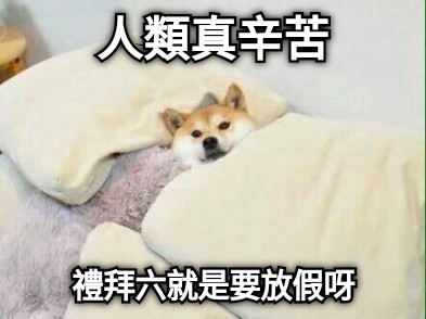 人類真辛苦 禮拜六就是要放假呀