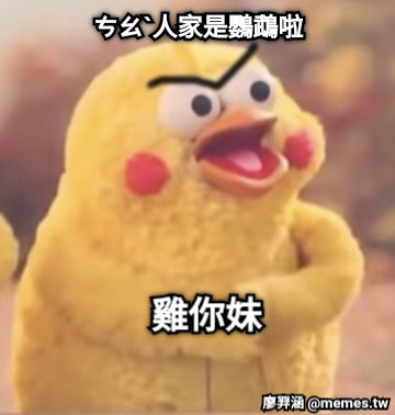 ㄘㄠˋ人家是鸚鵡啦 雞你妹