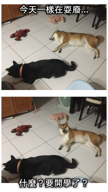 今天一樣在耍廢... 什麼？要開學了？