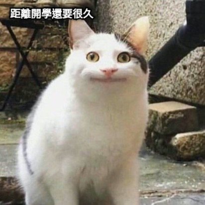 距離開學還要很久
