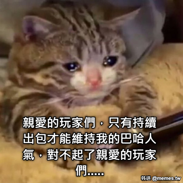 親愛的玩家們，只有持續出包才能維持我的巴哈人氣，對不起了親愛的玩家們.....