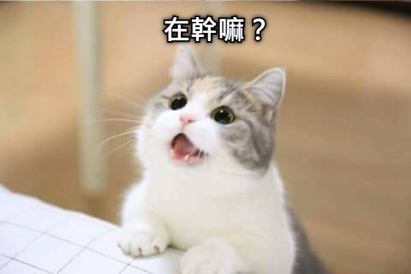 在幹嘛？