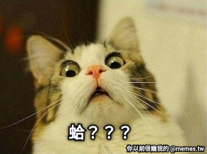 蛤？？？