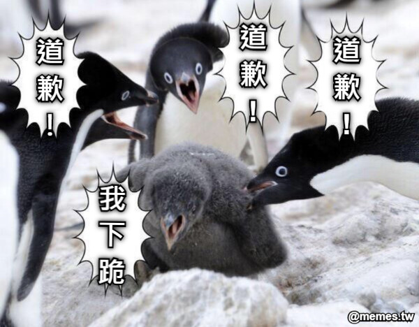 我 下 跪 道 歉 ! 道 歉 ! 道 歉 ！