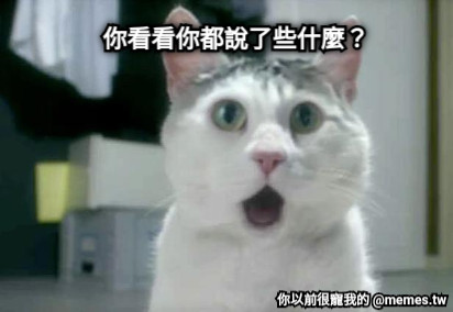 你看看你都說了些什麼？