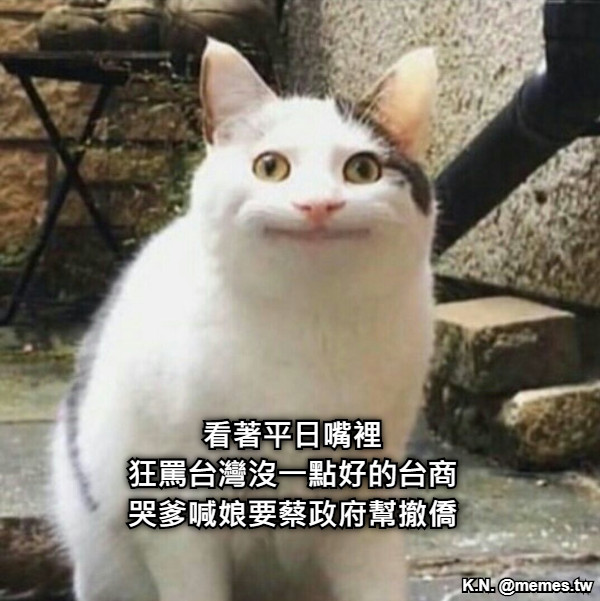 看著平日嘴裡 狂罵台灣沒一點好的台商 哭爹喊娘要蔡政府幫撤僑