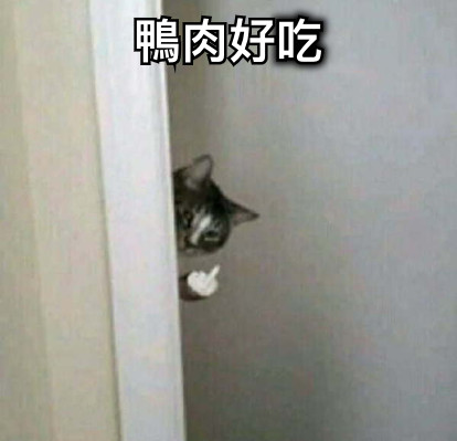 鴨肉好吃